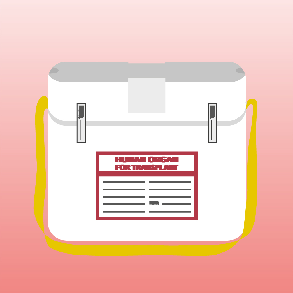 Transplantationsbeauftragte/r Ärztin/Arzt - Modul 3